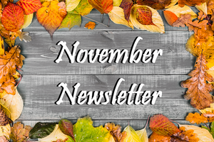 November Newsletter