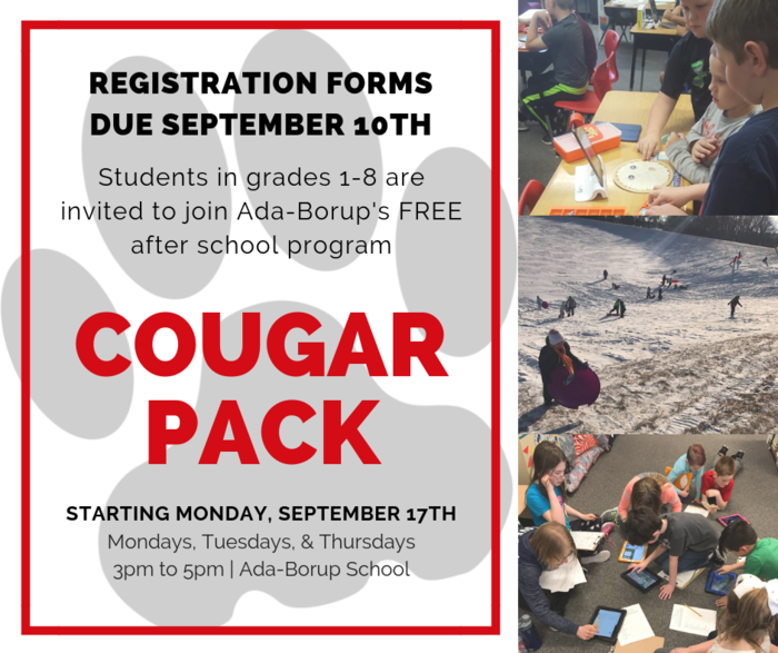 Cougar Pack Reg
