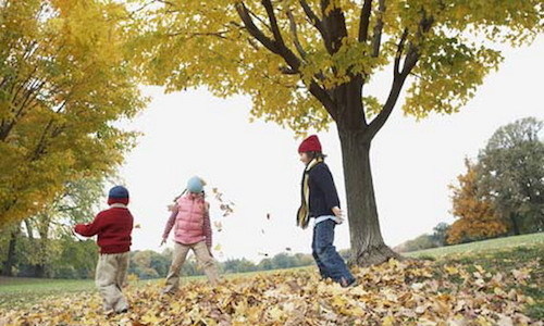 Kids playing in the fall